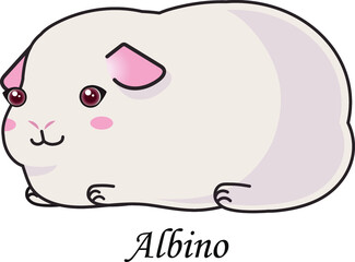 Guinea pig albino cartoon cavia cute