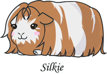 Guinea pig cartoon cavia cute silkie