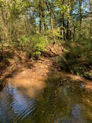 Muddy pond in forest mountain terrain 