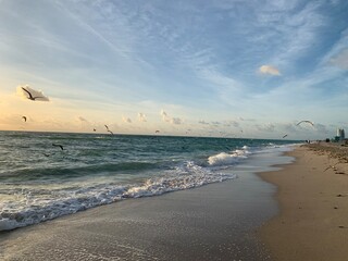 Landscape view seagulls flying over ocean shoreline at sunset