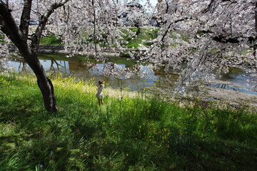 川沿いの桜の下で撮影するモデル