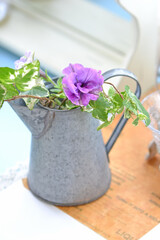 ブリキ缶に挿した植物