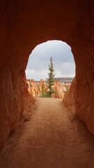 Rock tunnel on edge of canyon in Bryce Canyon National Park, Utah, United States