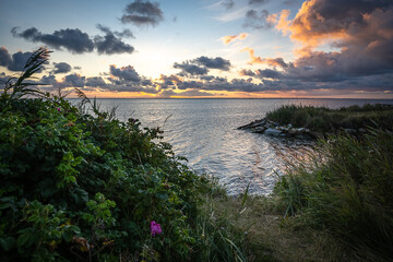 Morgenstimmung am Ringkøbing Fjord in der Nähe von Hvide Sande, Dänemark