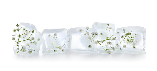 Frozen flowers in ice on white background