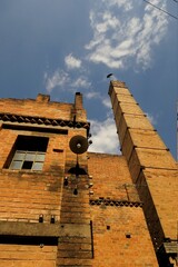 The tower and the black vulture