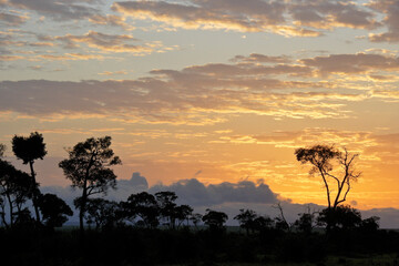 Fototapeta na wymiar Sunrise in the Masai Mara Game Reserve, Kenya