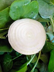 a piece of onion and watercress leaves