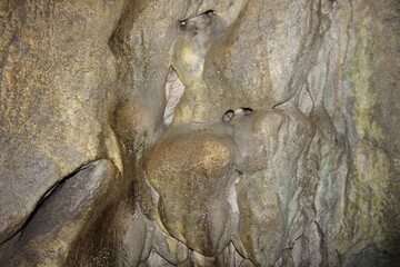鍾乳洞内部の風景　滑らかで大きな凹凸のある内壁