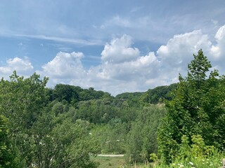 landscape with trees and clouds