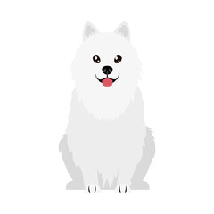 cartoon maltese dog icon, flat style