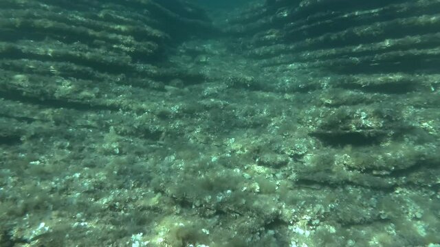 Layered rocky bottom of sedimentary rocks underwater. Geology of the seabed in the Adriatic Sea, Mogren beach, Budva, Montenegro, Montenegro, Europe