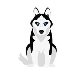 siberian husky dog icon, flat style