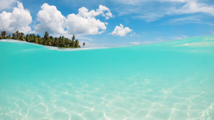 Split view half underwater crystal azure calm sea surface with white sand at the bottom and palm trees on the shore of idyllic wild tropical beach. Vacation and rest in paradise.