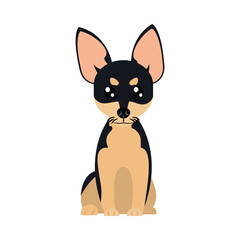 cartoon pinscher dog icon, flat style