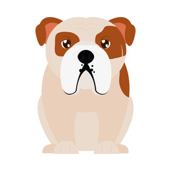 cartoon bulldog dog icon, flat style