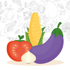 fresh vegetables, eggplant, garlic, tomato and cob corn vector illustration design