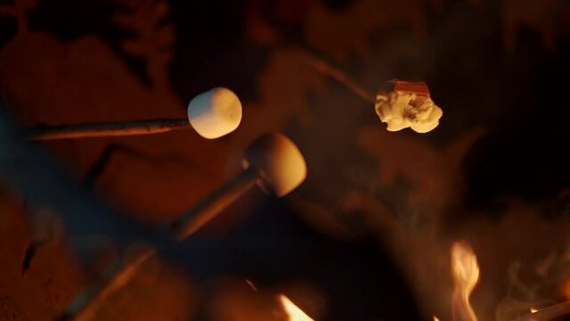 Roasting Marshmallows around the campfire in slow motion