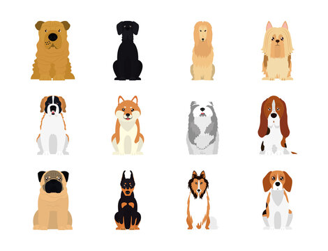 icon set of beagle and dogs, flat style