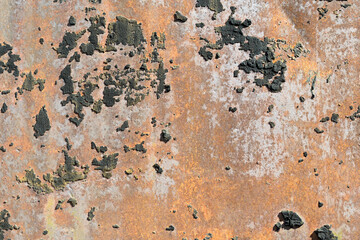 Portrait of abstract background in nature outdoors