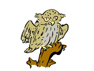 鳥獣人物戯画　フクロウ