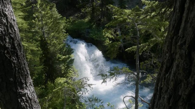 rushing powerful waterfall river in lush green tree forest between two trees bend oregon pacific northwest usa zoom in slow motion