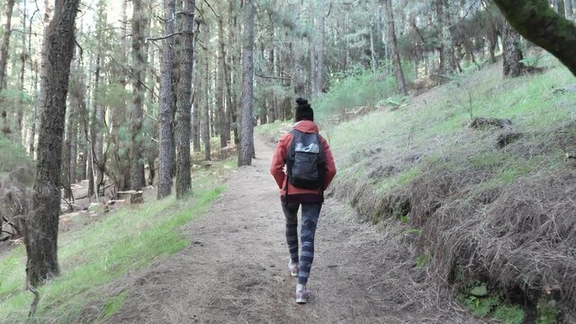 Stabilized Gimbal Shot of Healthy Active Female Hiker Walking On Forest Path