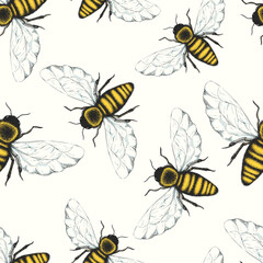 Seamless vector pattern with colorful hand drawn honey bees isolated on white background. Insect design for print, fabric, card, wallpaper, packaging
