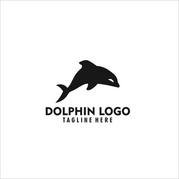 dolphin logo design silhouette vector