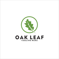 Fototapeta premium oak leaf logo design template silhouette vector