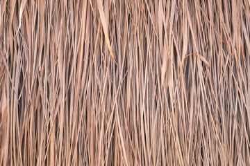 Thatch roof background, hay or dry grass background
