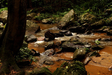 moss on the rocks and stream