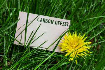 Carbon offset