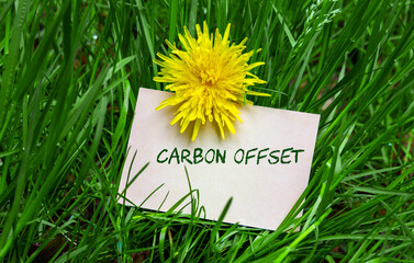 Carbon offset