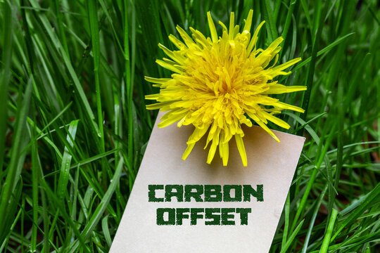 Carbon Offset