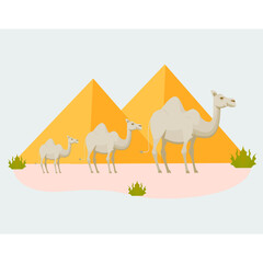 Illustration Of Camel vector in desert