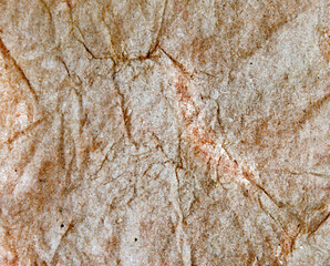 illustration of textured surface