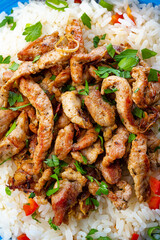gyros with rice and green salad and zaziki