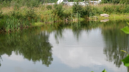 lake shore in summer