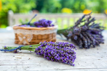 Freshly cut lavender on the garden table.