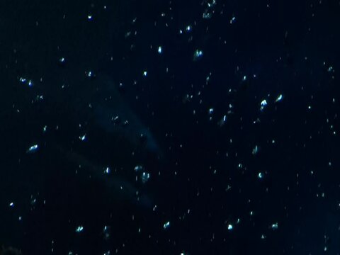 Aufsteigende Blubberblasen in einem dunkel matt-blauen Wasseraquarium mit einer bedrohlichen Gestalt im Hintergrund. Szenisches mystisches futuristisches Hintergrung Gebubbel und Geglitzer.