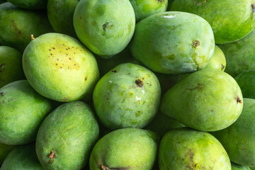 Green fresh tropical mangos in the shop