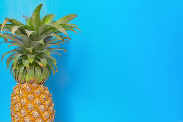 Isolated pineapple fruit on blue background