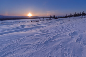 winter landscape with snow and trees