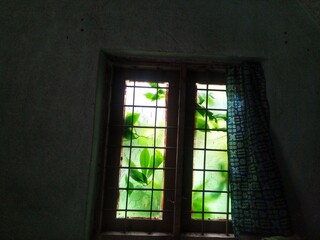 stained glass window like painting 