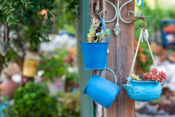 Second-hand blue saucepans, small bucket and old jug turn into garden flower pots. Recycled garden...