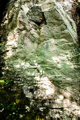 長崎県諫早市　富川渓谷（富川万年の森）　五百羅漢