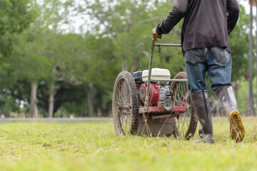 Worker mowing grass with machine in the public garden