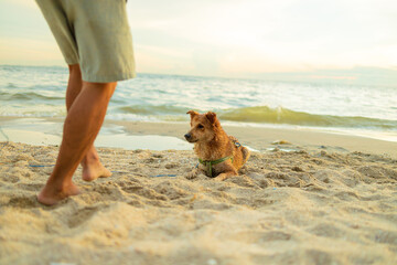 A man and a dog on the beach.