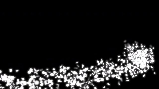 The pink carnation flower moves in a spiral pattern. Alpha channel included in the end of the clip.